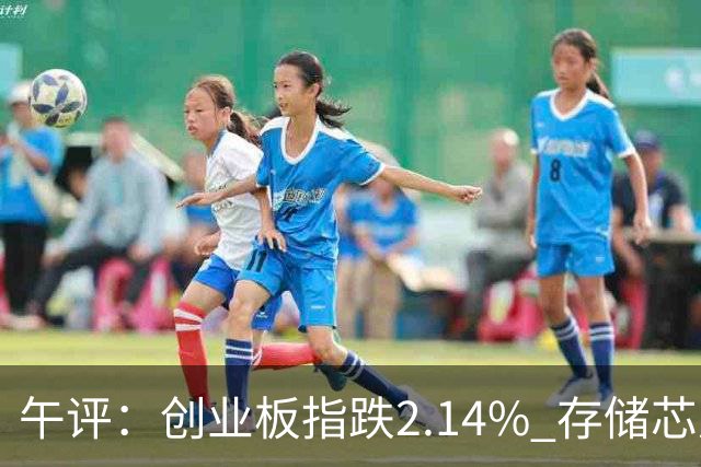 午评：创业板指跌2.14% 存储芯片概念活跃