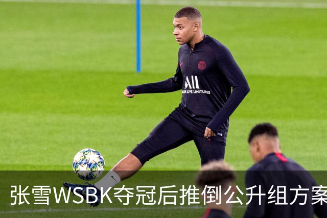 张雪WSBK夺冠后推倒公升组方案：弃四缸改自研V5，两年冲公升组经理放话全力托底