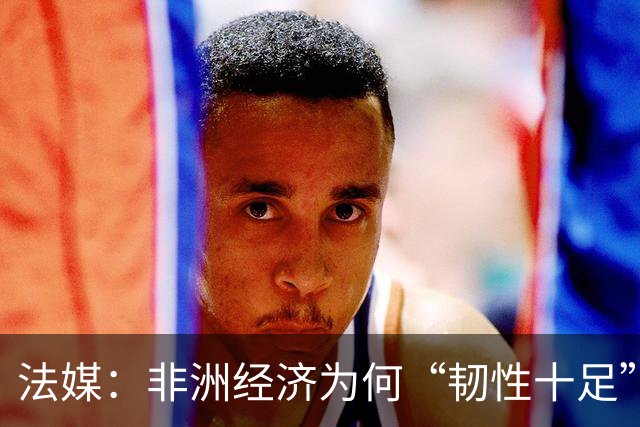 法媒：非洲经济为何“韧性十足”？