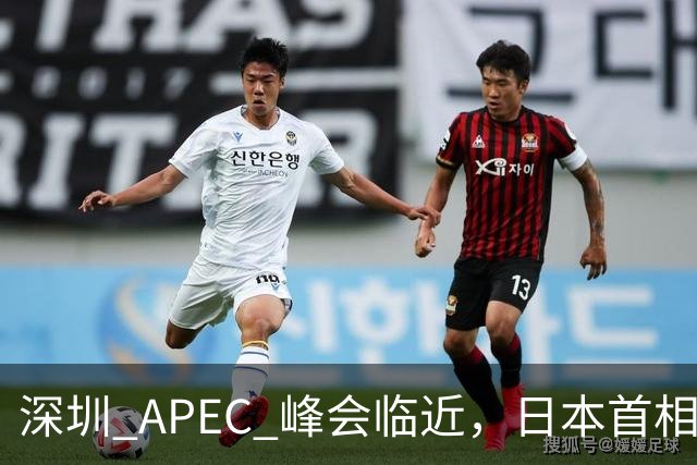 深圳 APEC 峰会临近，日本首相高市表态，中国是重要邻国