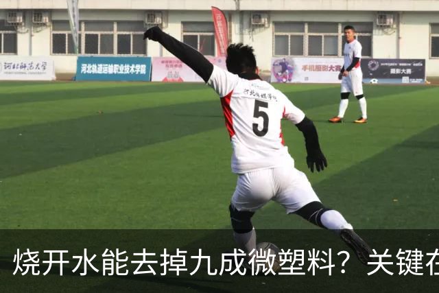 烧开水能去掉九成微塑料？关键在那层水垢