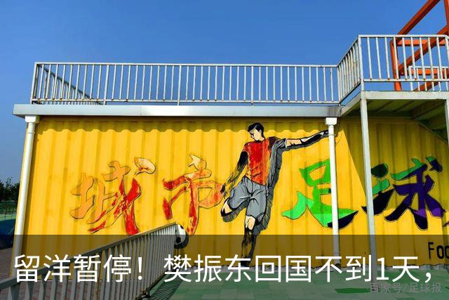 留洋暂停！樊振东回国不到1天，公开亮相'新身份'，终于等到这一天